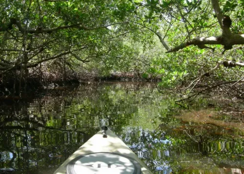 fort myers attractions